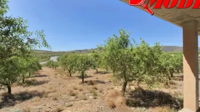 Rustic house in Villamena photo 17
