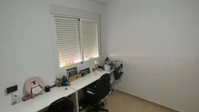 Apartment in Los Alcázares photo 50