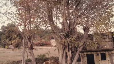 Chalet in A Peroxa photo 5