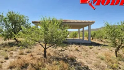 Rustic house in Villamena photo 42