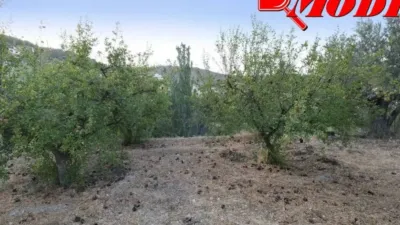 Rustic house in Villamena photo 28