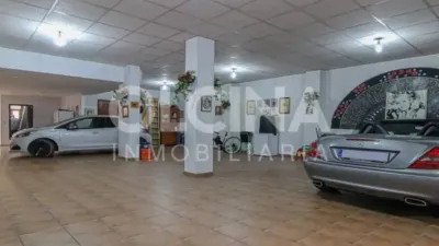 Chalet in Ibi photo 43