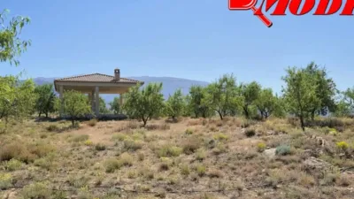 Rustic house in Villamena photo 50