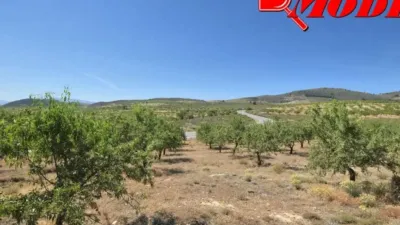 Rustic house in Villamena photo 35