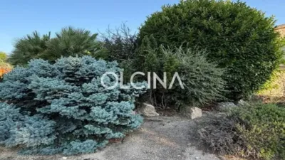 Rustic house in Castalla photo 27