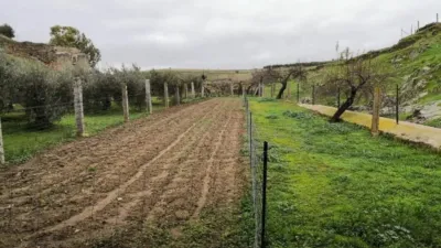 Rustic property in Belalcázar photo 34