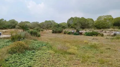Chalet in Torrellano-Valverde-Parc Empresarial photo 2