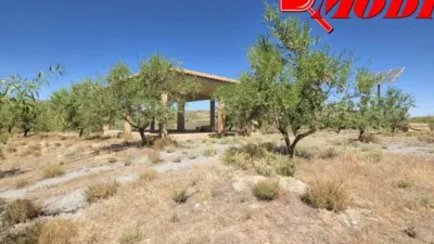 Rustic house in Villamena photo 26