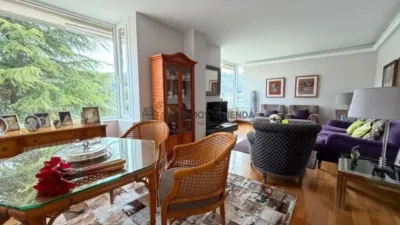 Chalet in Ourense City photo 20