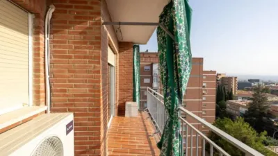 Apartment in Cartuja photo 27