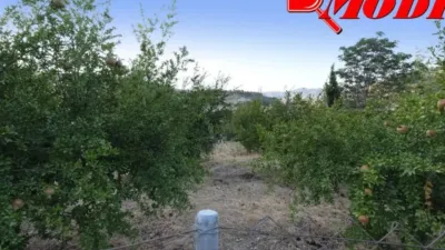 Rustic house in Villamena photo 40