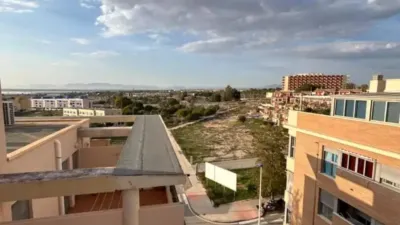 Apartment in Santa Pola photo 34