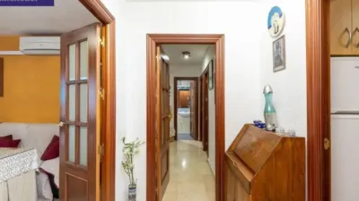 Apartment on Veracruz Street photo 13