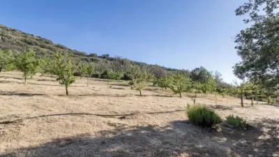 Casa rústica en Güéjar Sierra photo 30