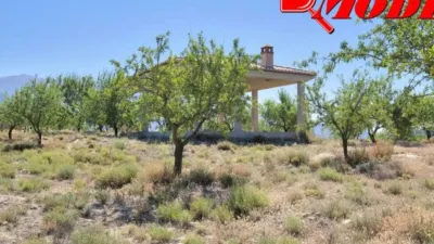 Rustic house in Villamena photo 46