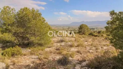 Rustic house in Ibi photo 12