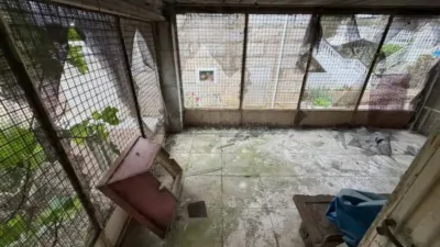 Chalet in Ourense City photo 11