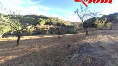 Rustic house in Villamena photo 16