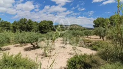 Rustic property in Onil photo 38