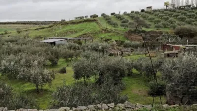 Rustic property in Belalcázar photo 39