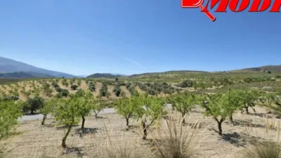 Rustic house in Villamena photo 29