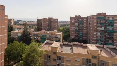 Apartment in Cartuja photo 35