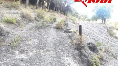 Rustic house in Villamena photo 29