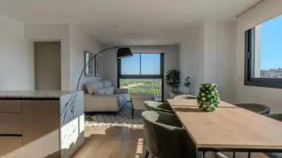 Chalet in Algorfa photo 19