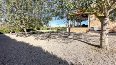 Rustic house in Sineu photo 37