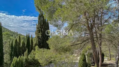 Rustic House in Santa Rosa photo 16