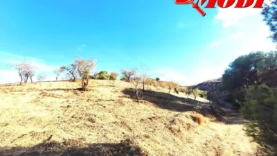 Rustic house in Villamena photo 19