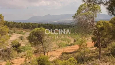 Rustic house in Ibi photo 11