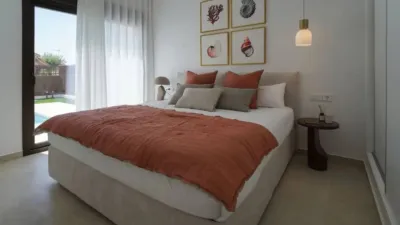 Chalet in Algorfa photo 34
