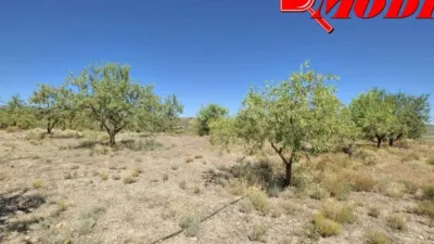Rustic house in Villamena photo 13