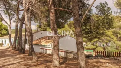 Rustic house in Ibi photo 4
