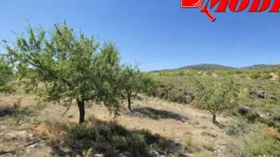 Rustic house in Villamena photo 48