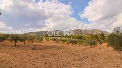 Rustic house in Ibi photo 10