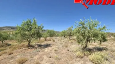 Rustic house in Villamena photo 31