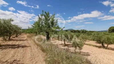Rustic property in Onil photo 37