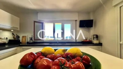 Chalet in Ibi photo 26
