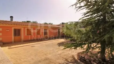 Chalet in Ibi photo 51