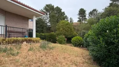 Chalet in O Pereiro de Aguiar photo 11