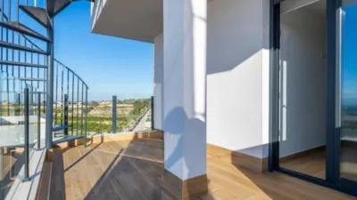 Chalet in Algorfa photo 5