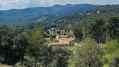 Rustic House in Santa Rosa photo 23