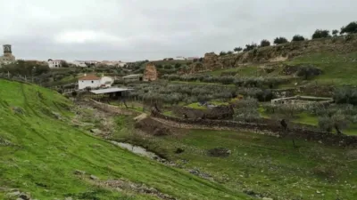 Rustic property in Belalcázar photo 51