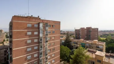 Apartment in Cartuja photo 36