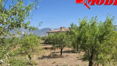 Rustic house in Villamena photo 9