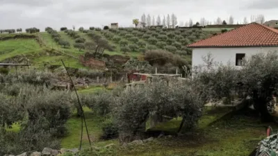Rustic property in Belalcázar photo 46