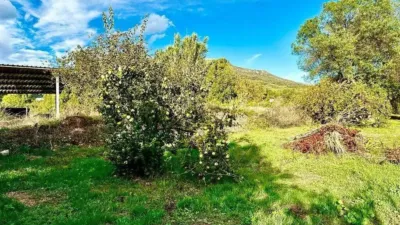 Rustic house in Carcabuey photo 43