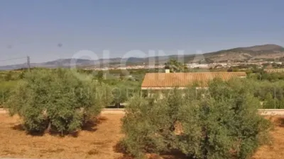 Chalet in Ibi photo 55
